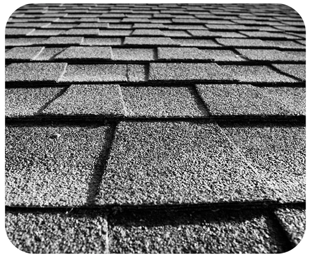 Shingle roof replacement services in South Florida — Roofing Experts Services